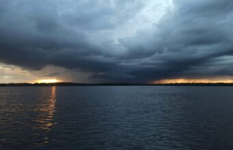 Irish Angling Update 12 November 2021