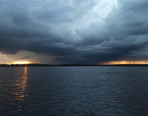 Irish Angling Update 12 November 2021
