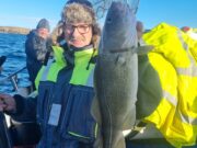 Good mixed fishing out of Rosses Point