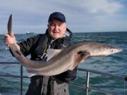 Tope, spurs and huss still biting for Wicklow Boat Charters tope