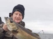 Some fine pollack for anglers onboard Fiona Tee