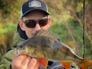 Fin perfect perch for Leinster Perch Anglers