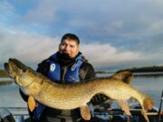 22lbs+ pike from Lough Erne