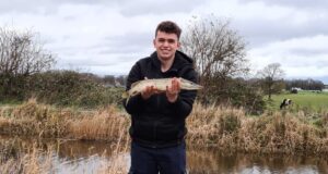 pike