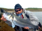 Late Season Bass Sport In Kerry