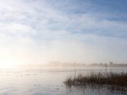 Irish Angling Update – Dec 17 2021