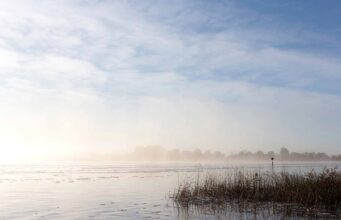 Irish Angling Update – Dec 17 2021