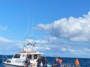 A couple of great days charter boat fishing at Courtmacsherry with a good mix of species landed boat