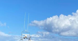 A couple of great days charter boat fishing at Courtmacsherry with a good mix of species landed boat
