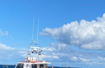 A couple of great days charter boat fishing at Courtmacsherry with a good mix of species landed boat