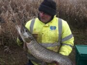 Pike at extreme short range saves the day at Monaghan venue