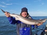 Blue skies and big Spurs for Wicklow Boat Charters