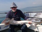 Wicklow Boats back with a bang in 2022