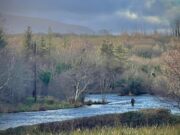 Irish Angling Update 🎣 14 January 2022