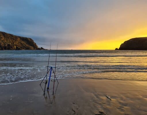 Irish Angling Update – 28th Jan 2022