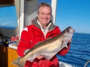 Pollack, ling cod and smoothhounds to start the year in Courtmacsherry pollack