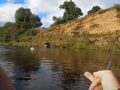 Looking back – salmon takes from 2021