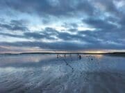 Irish Angling Update 11 February 2022 east cork