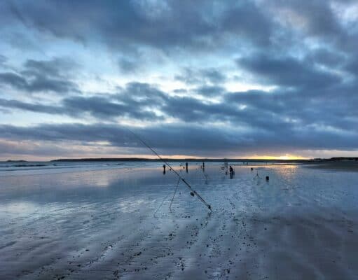 Irish Angling Update 11 February 2022 east cork