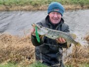 Yellow warning for pike in the midlands