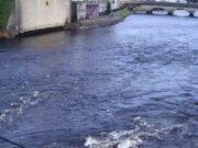 Salmon anglers back on the Moy