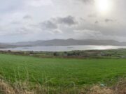 Two springers to break the ice before Currane is battered by Dudley and Eunice Lough Currane