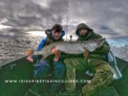 Super month of pikeing for Irishpikefishingguides clients.