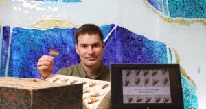 Shane O'Reilly of Inland Fisheries Ireland with the 1902 Cork Collection of Salmon Flies