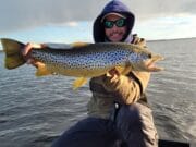 Lough Sheelin Angling Report, March 7th – March 13th 2022