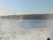 Surprise Mullet for West Cork angler