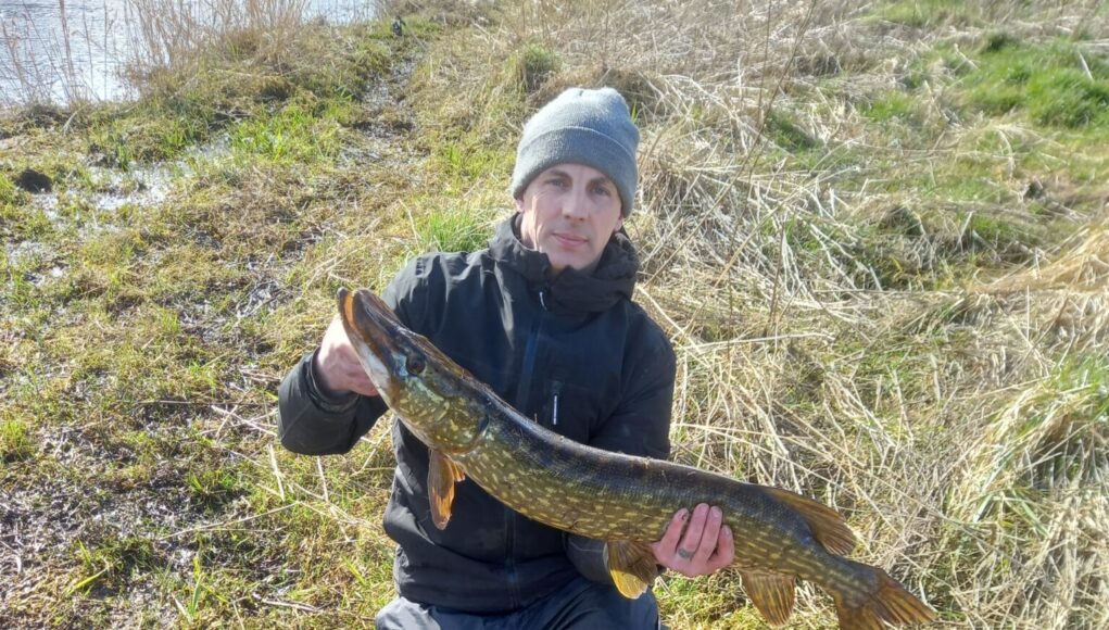 pike