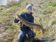 Two good pike for Keith and Jimmy on the Inny pike