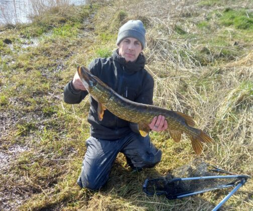 pike