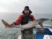 Storms subside and Spurs put in a show for Wicklow Boat Charters
