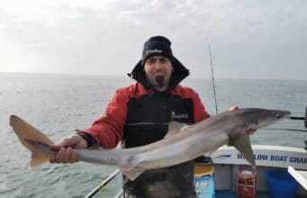 Storms subside and Spurs put in a show for Wicklow Boat Charters