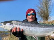 Blackwater salmon