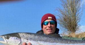 Blackwater salmon