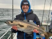 Some nice pollack for anglers aboard Fiona Tee