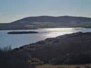 First salmon of the season caught on Carrowmore Lake