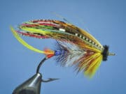 Irish Angling Update π£ 04 March 2022