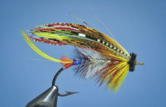 Irish Angling Update 🎣 04 March 2022