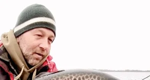 trout