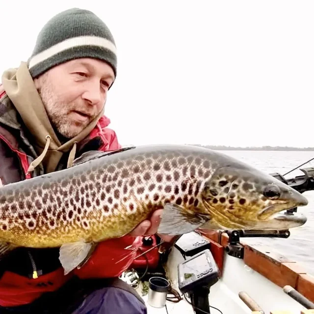 trout