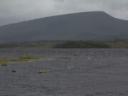 1st salmon of the season caught on Lough Beltra