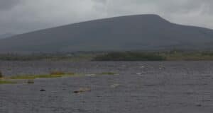 1st salmon of the season caught on Lough Beltra