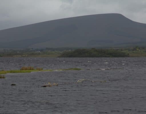1st salmon of the season caught on Lough Beltra