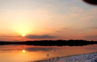 Lough Erne on fire for client of Border Fishing