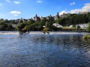Did you apply for a River Lee brown tag? Round 2 Draw results here River Lee in Cork