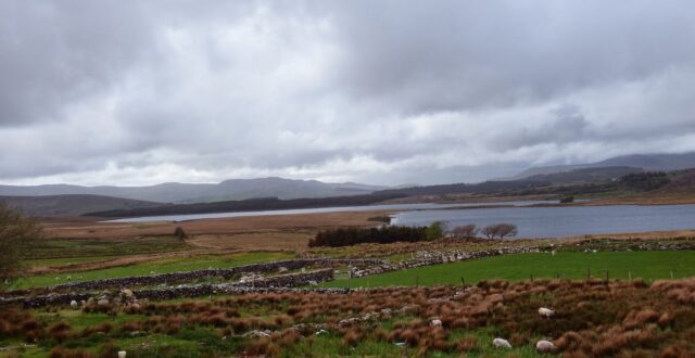 Lough Na Mona and Lough Cloonaughlin
