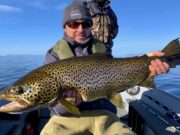 Duckfly imminent on Corrib as trolling still finding the fish